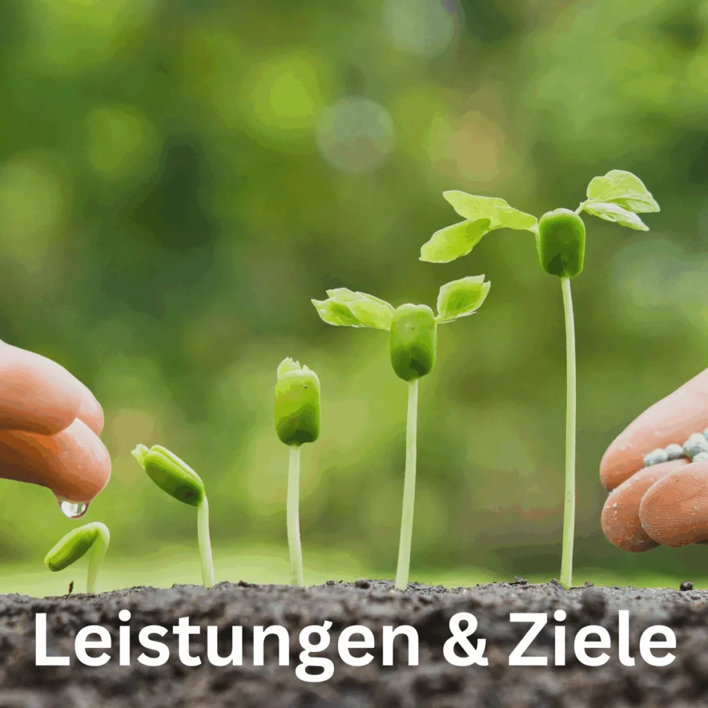 Junge Setzlinge wachsen aus der Erde, Titelbild Leistungen und Ziele